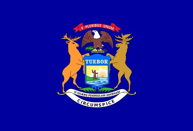 Michigan state flag with red diagonal cross - Florida contractor bonds and licensing